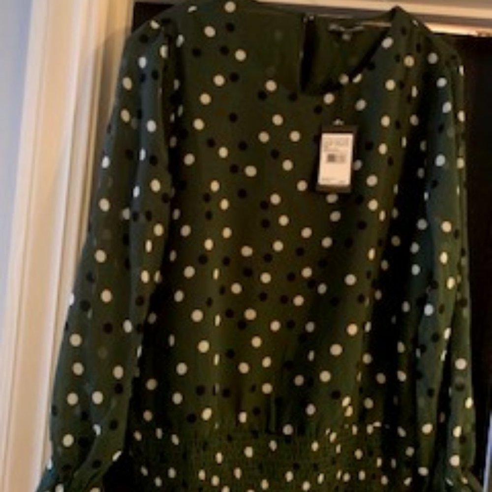 Top L, Adrianna Papell, new with tags